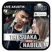 ”Tri Suaka ft Nabila Mp3 Offlin