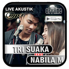 Tri Suaka ft Nabila Mp3 Offlin icône