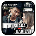 Tri Suaka ft Nabila Mp3 Offlin آئیکن