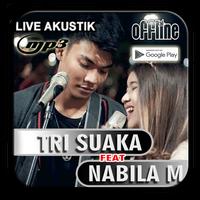 Tri Suaka ft Nabila Mp3 Offlin poster
