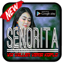 Senorita - via vallen offline APK