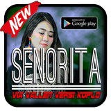 Senorita - via vallen offline أيقونة