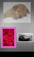 Nice Simple Photo Widget تصوير الشاشة 1