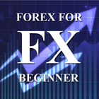 Forex For Beginner ไอคอน