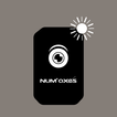 PIE1060 icon