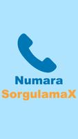 Numara Sorgulama ảnh chụp màn hình 3