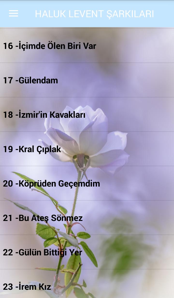 Ates Gulu Cicekcilik Cicekciler Istanbul