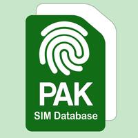 Pak Sim Database Affiche