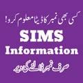 Sim Information