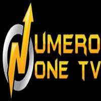 NÚMERO ONE TV capture d'écran 2