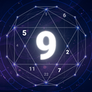 Daily Tarot and Numerology App APK