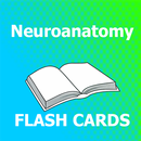 Neuroanatomy Flashcards APK