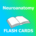 Neuroanatomy Flashcards 圖標