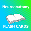 Neuroanatomy Flashcard 2022 Ed