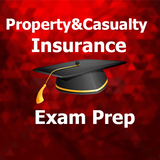 Property & Casualty Insurance icône