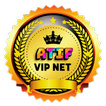 ATIF VIP NET VPN