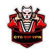 CTG VIP VPN