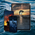 Paus Orca Wallpaper