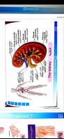 خلاصة علم التمريض NURSOLOGY Plakat