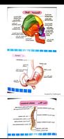 خلاصة علم التمريض NURSOLOGY скриншот 1