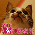 猫神経衰弱 ikon