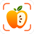 Cal Pal -AI Calorie Tracker