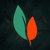 Nutrivine: AI Calorie Tracker APK