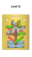 Screw Pin: Nuts & Bolts Puzzle poster