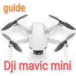 Dji mavic mini