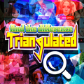 Triangulate:Find the differences spot it free game