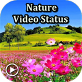 Nature video status