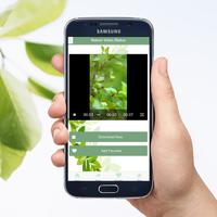 Nature video status স্ক্রিনশট 3
