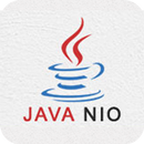Java NIO Tutorial APK