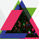 13th Göttingen Meeting APK