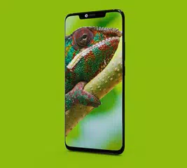 Oled Wallpapers APK download