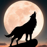 Wolf Wallpapers