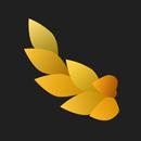 NYMF: Арт-проект Ню Фотографии APK