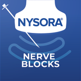 NYSORA Nerve Blocks 图标