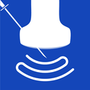 NYSORA Nerve Blocks APK