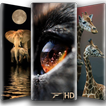 4D Animal Wallpaper - HD Wallpaper & Backgrounds