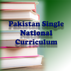 Pakistan Single National Curri icône