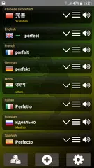 Q Multi Language Translator APK download