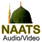 Naats Download icon
