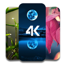 4K HD Nature Wallpapers 4D Backgrounds APK