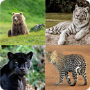 APK Guess the Animal