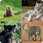 Guess the Animal-icoon