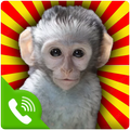 Call from Monkey