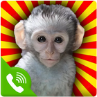 Call from Monkey biểu tượng