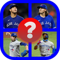Blue Jays Quiz