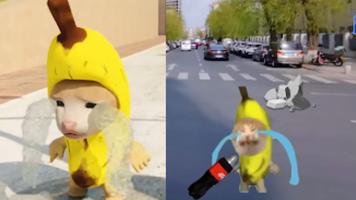 Banana Series - Cat Memes постер